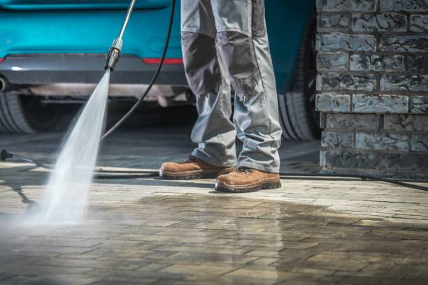 Best Gutter Cleaning  in Elm Creek, TX