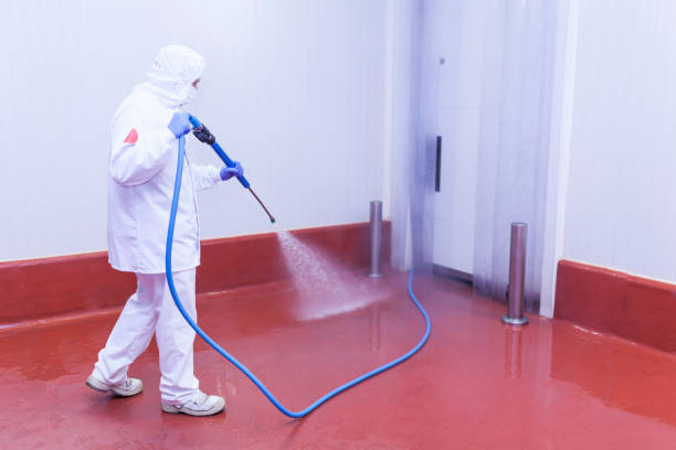 Best Patio and Deck Pressure Washing  in Elm Creek, TX