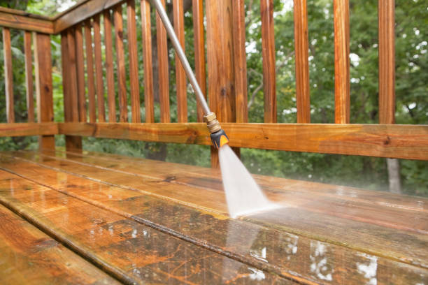 Best Solar Panel Cleaning  in Elm Creek, TX